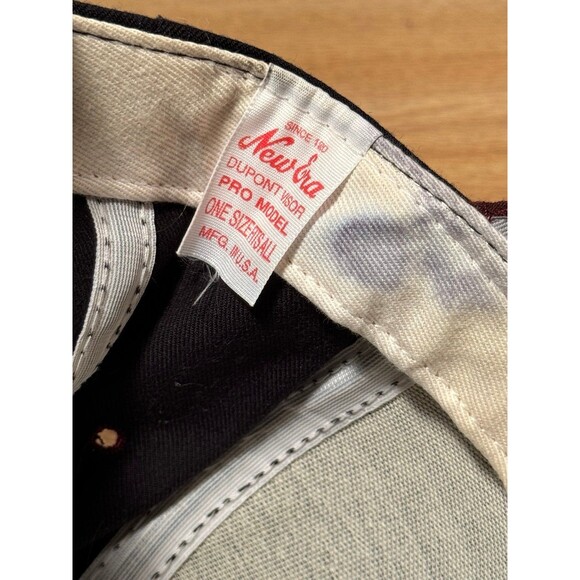 Vintage Wisconsin Timber Rattlers Minor League Baseball MiLB Snapback Hat USA - Picture 9 of 9